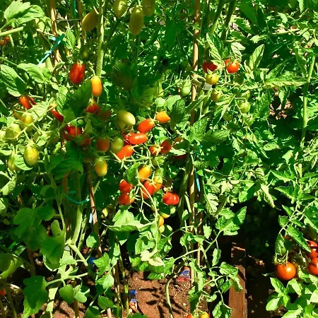 Heritage Aquamarine Villa